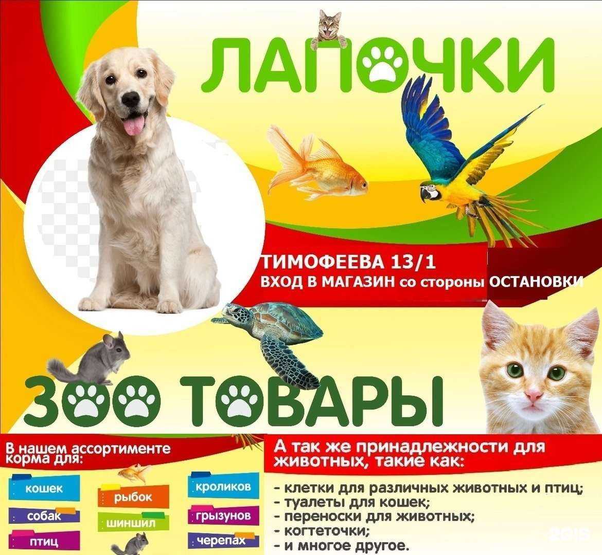 Отзывы на компанию Лапочки в г. Ростов-на-Дону c фото