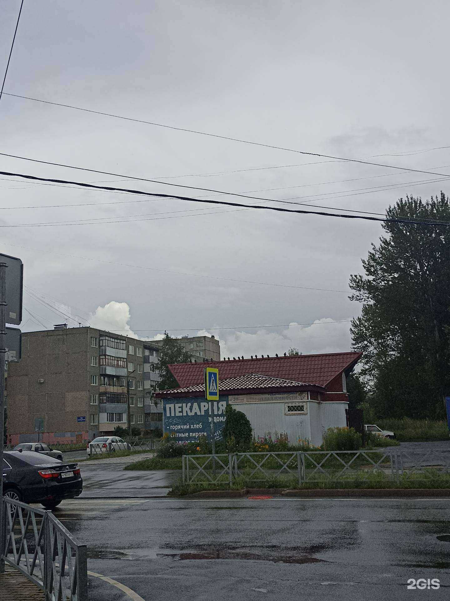 Отзывы на компанию Жар пицца в г. Рыбинск c фото