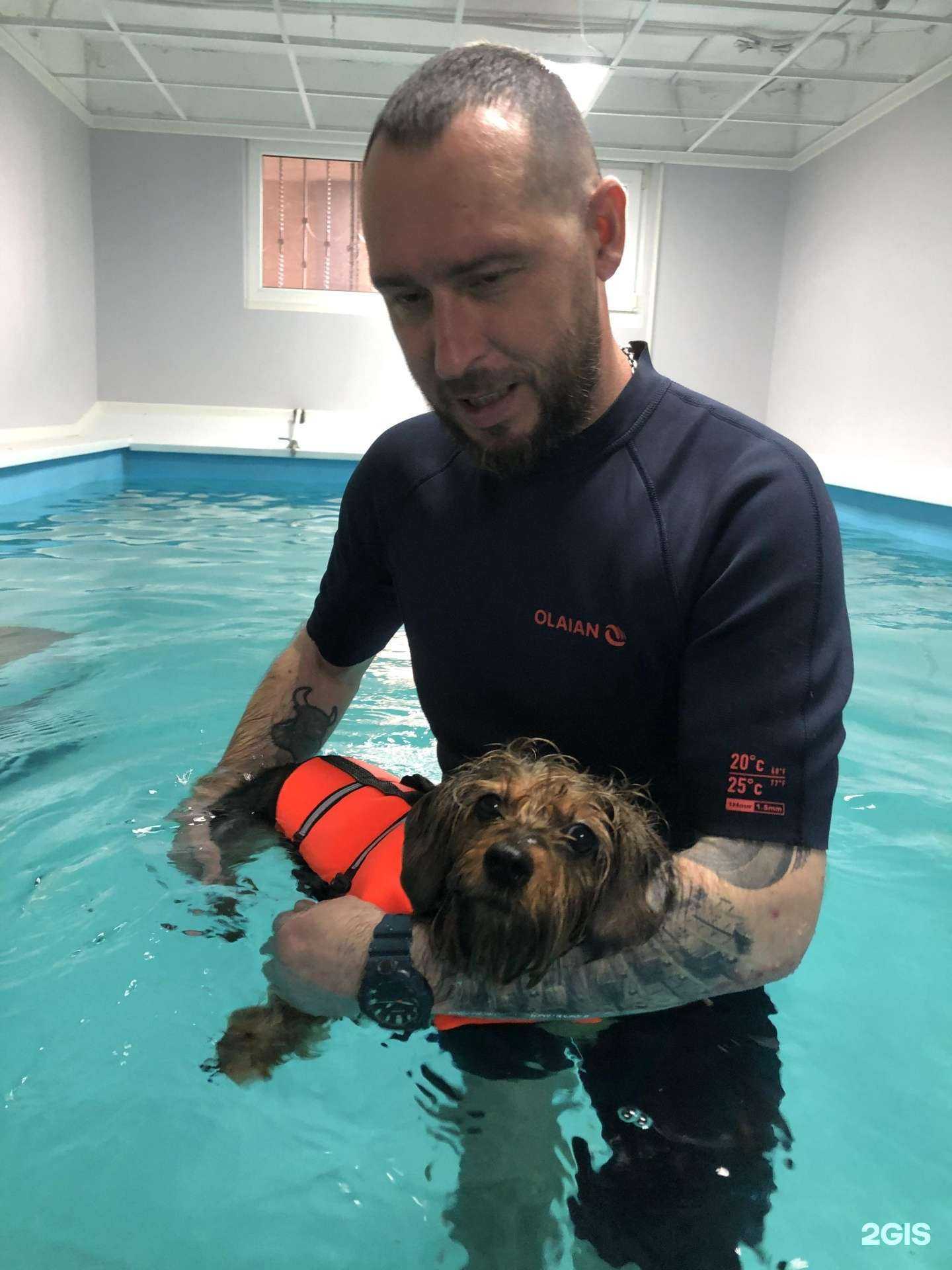 Отзывы на компанию Будка в Краснодаре c фото