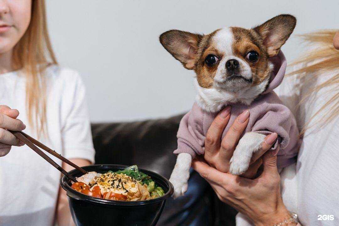 Отзывы на компанию Kapibara в Сафонове c фото