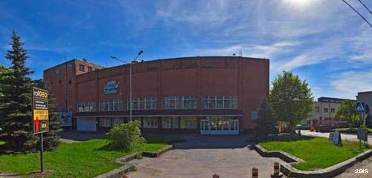 Отзывы на компанию Костыли39 в г. Калининград c фото