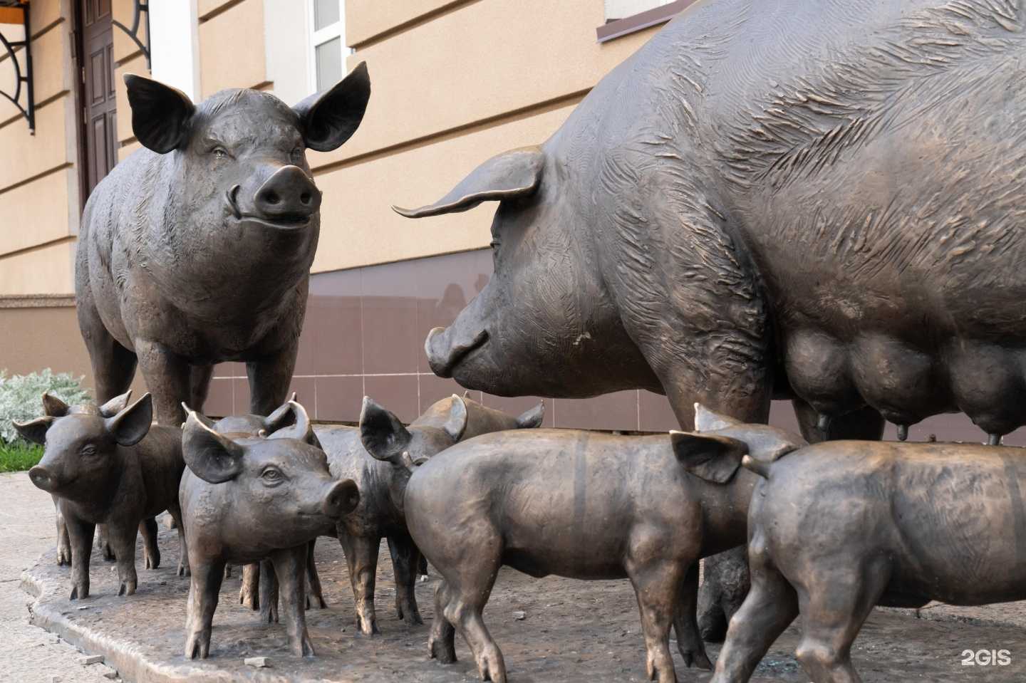 Отзывы на компанию Сибагро в г. Томск c фото