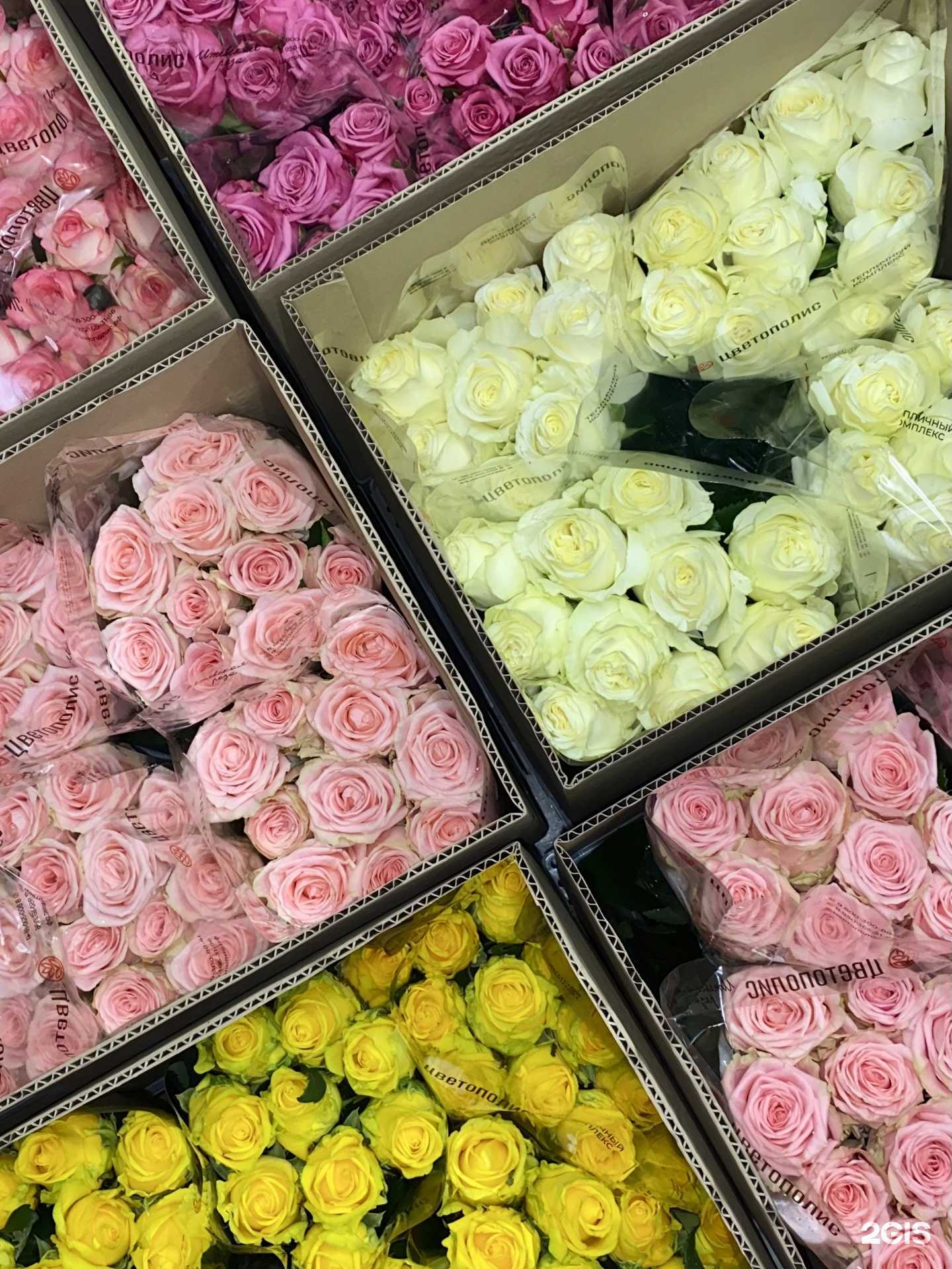 Отзывы на компанию Barbatus в Уфе c фото