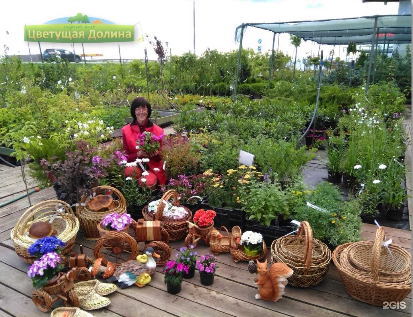 Отзывы на компанию Цветущая долина в г. Тверь c фото