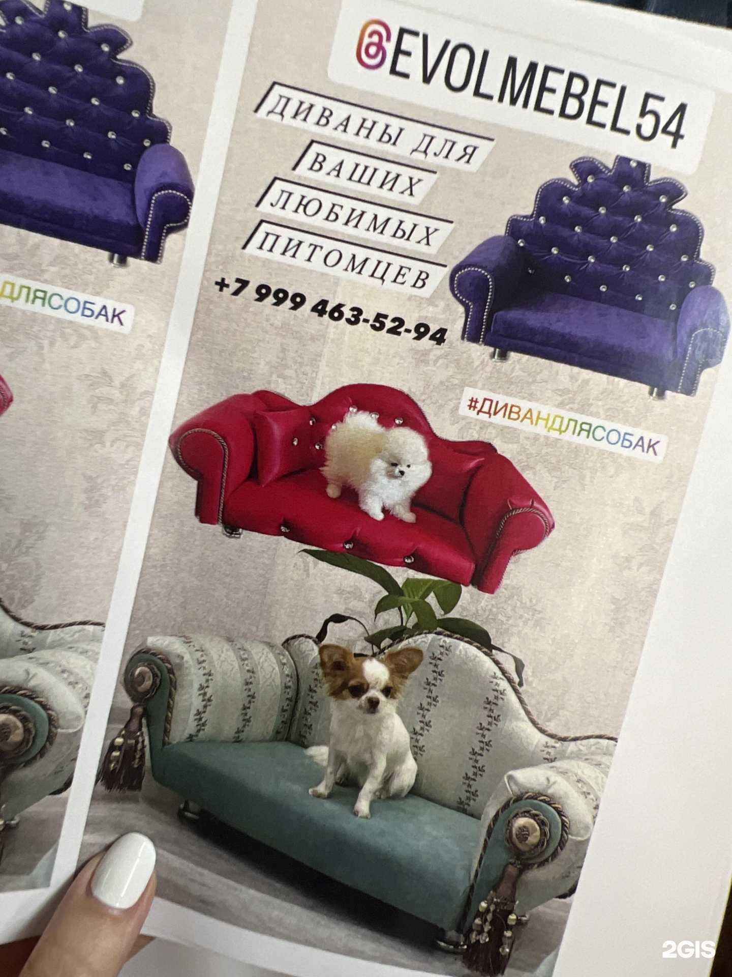 Отзывы на компанию Элемент принт в Новосибирске c фото