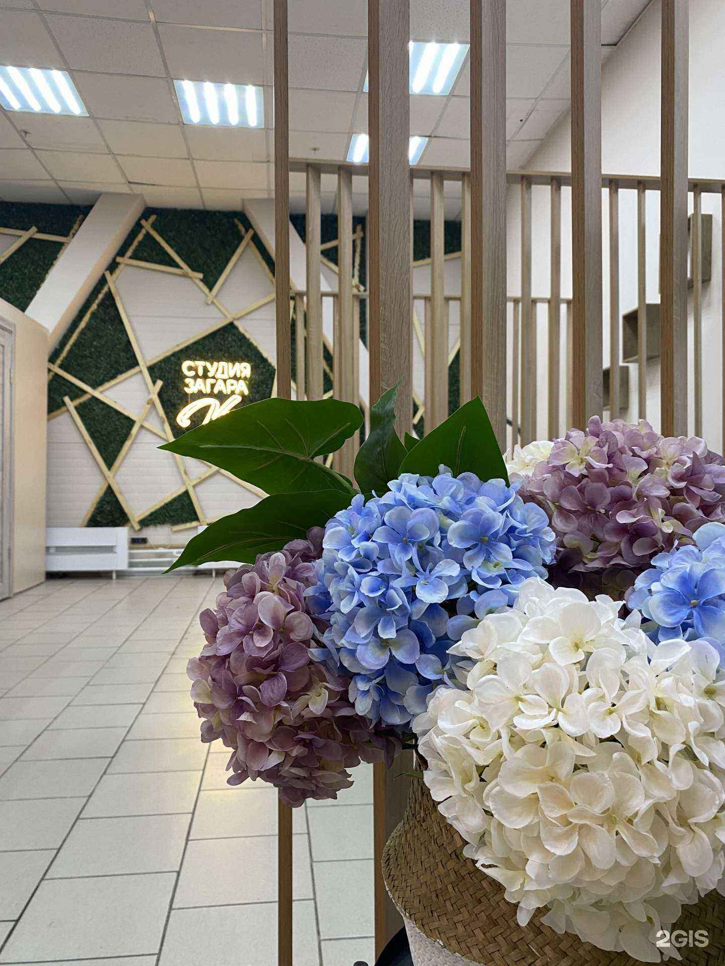 Отзывы на компанию Viki в Новокузнецке c фото