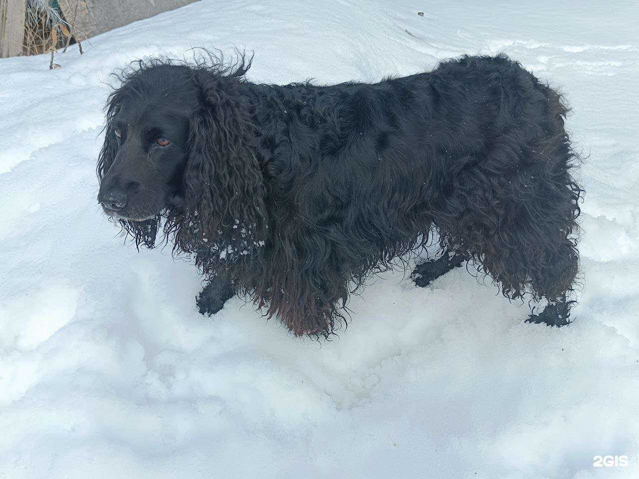 Отзывы на компанию Райmond в Нижнем Новгороде c фото