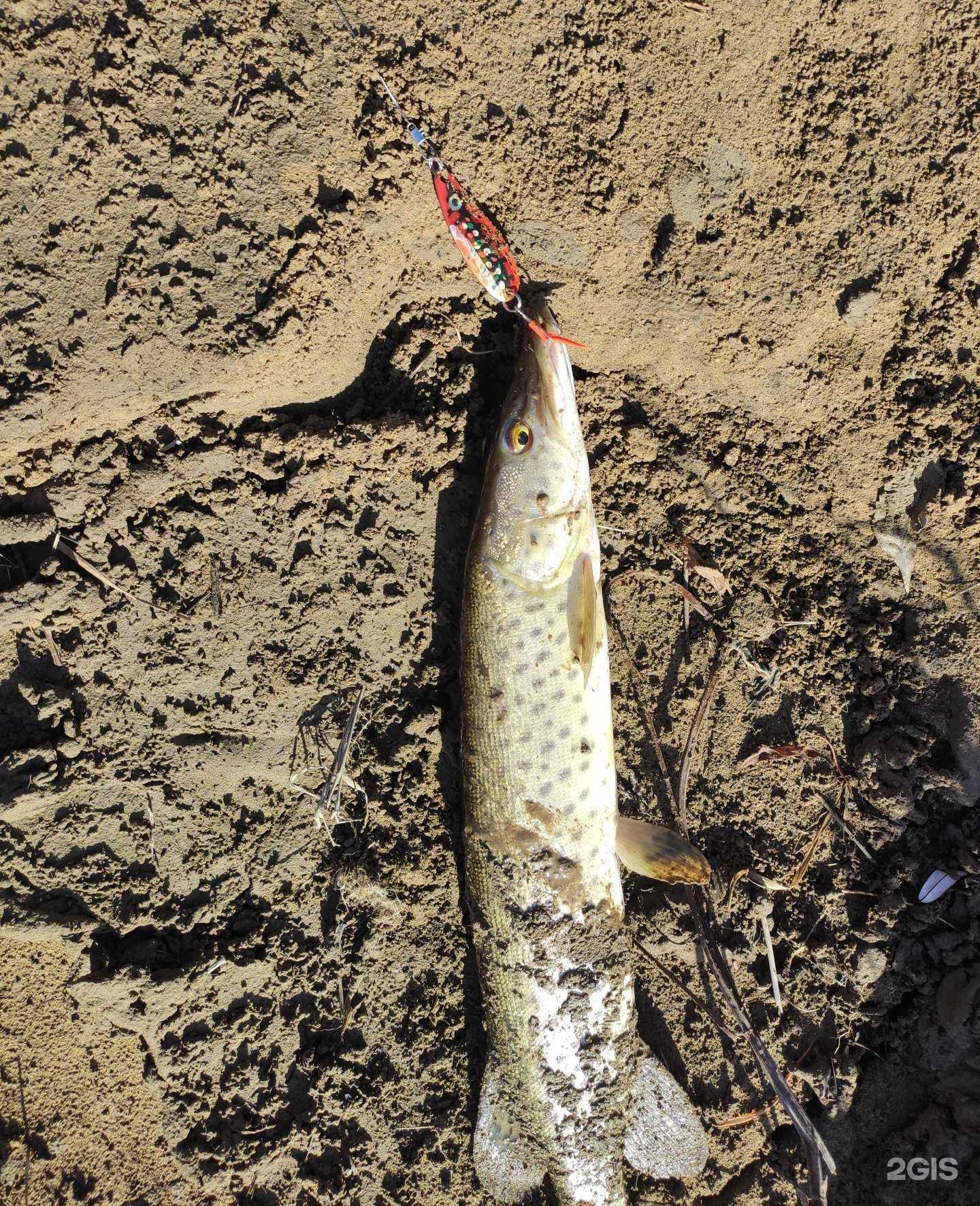 Отзывы на компанию Магазин товаров для рыбалки, спорта и туризма в Хабаровске c фото