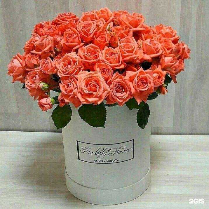 Отзывы на компанию Оазис в Солнечногорске c фото