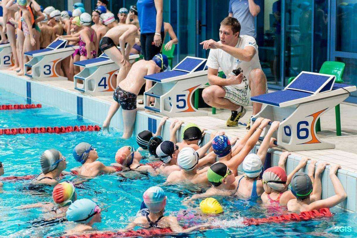 Отзывы на компанию Дельфин в г. Владимир c фото