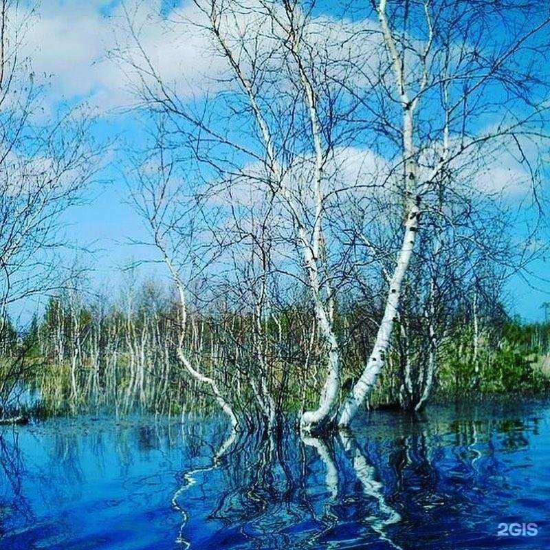 Отзывы на компанию Экотара в Великом Новгороде c фото