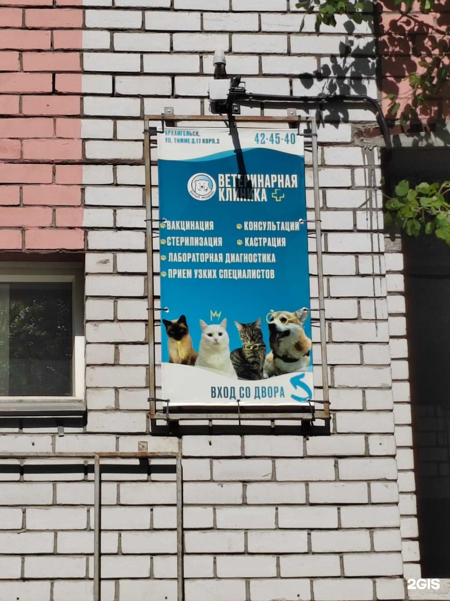 Отзывы на компанию Белый медведь в г. Архангельск c фото