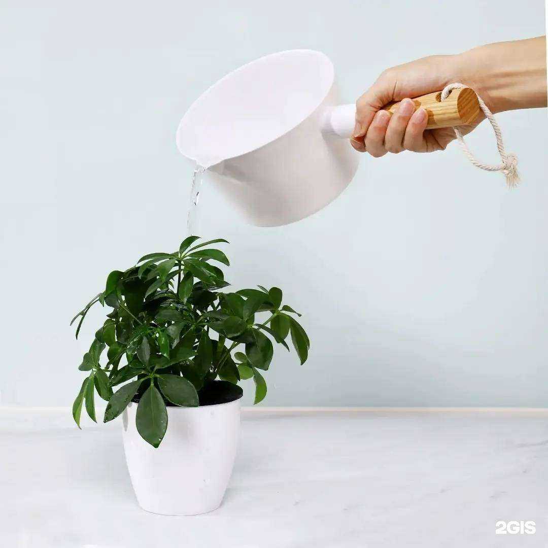 Отзывы на компанию Маленькая Азия в Владивостоке c фото