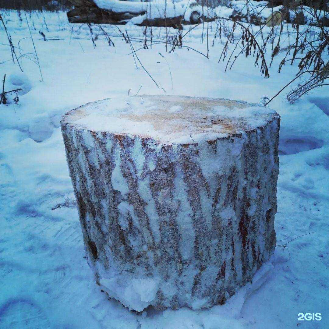 Отзывы на компанию Дом в Миассе c фото