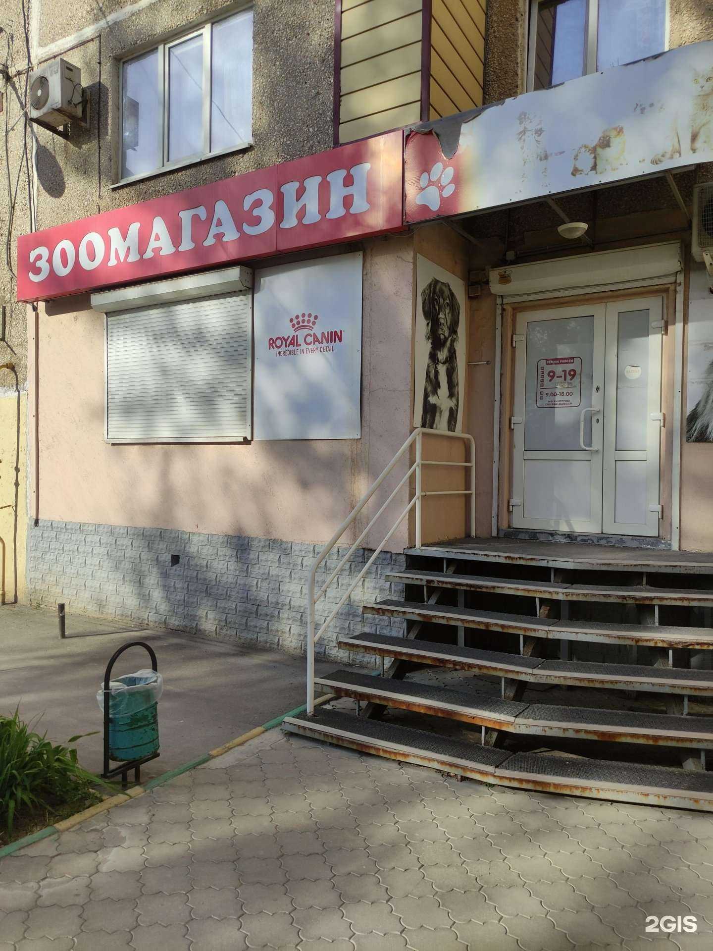 Отзывы на компанию Миллион друзей в Волгодонске c фото