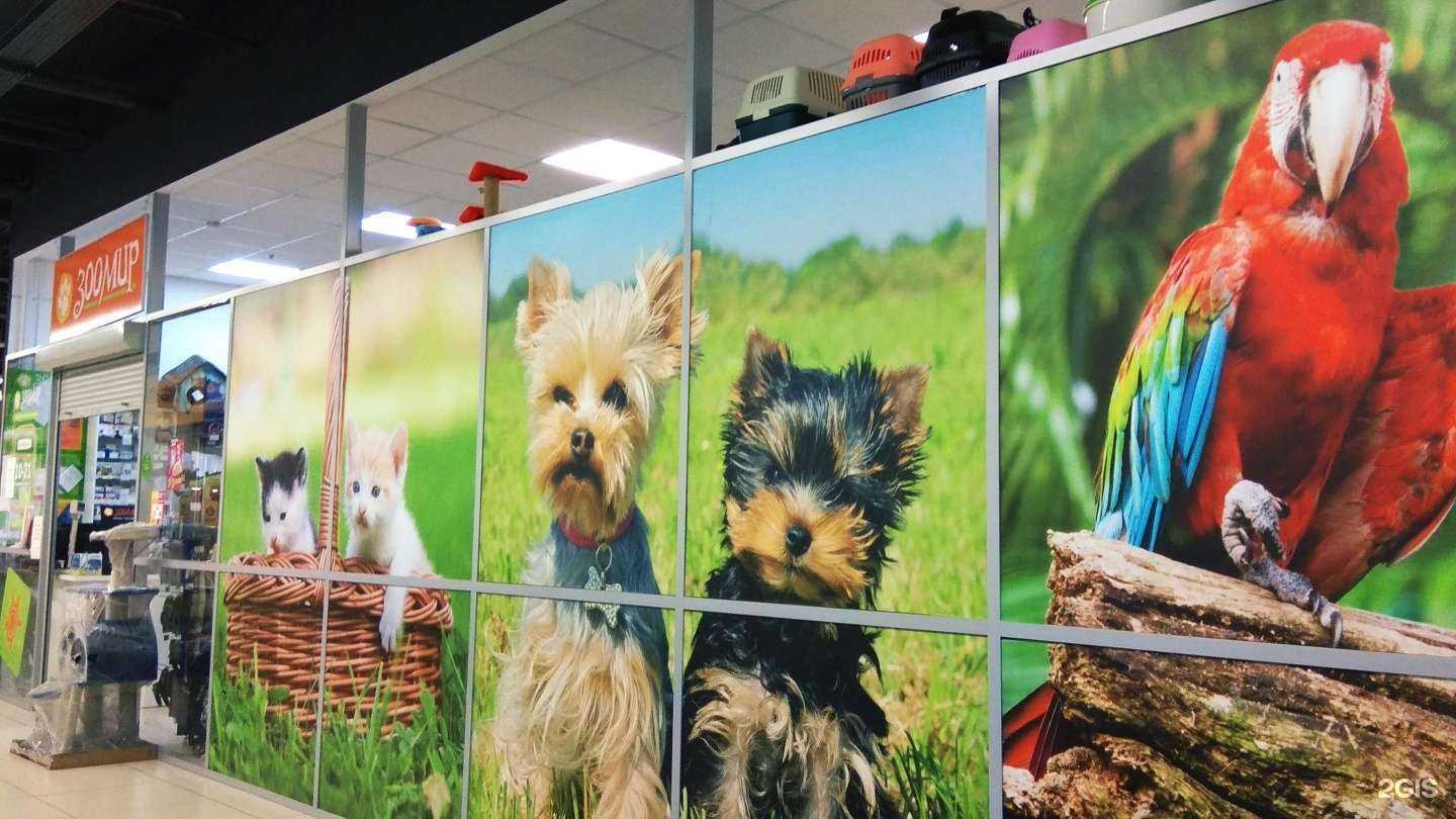 Отзывы на компанию ЗооМир в Петрозаводске c фото