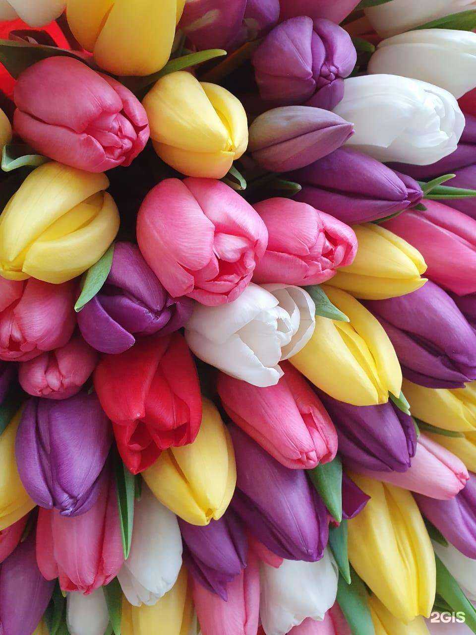 Отзывы на компанию Русская роза в Владивостоке c фото