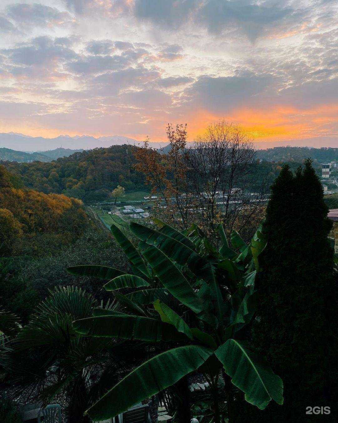 Отзывы на компанию У Веры в г. Сочи c фото