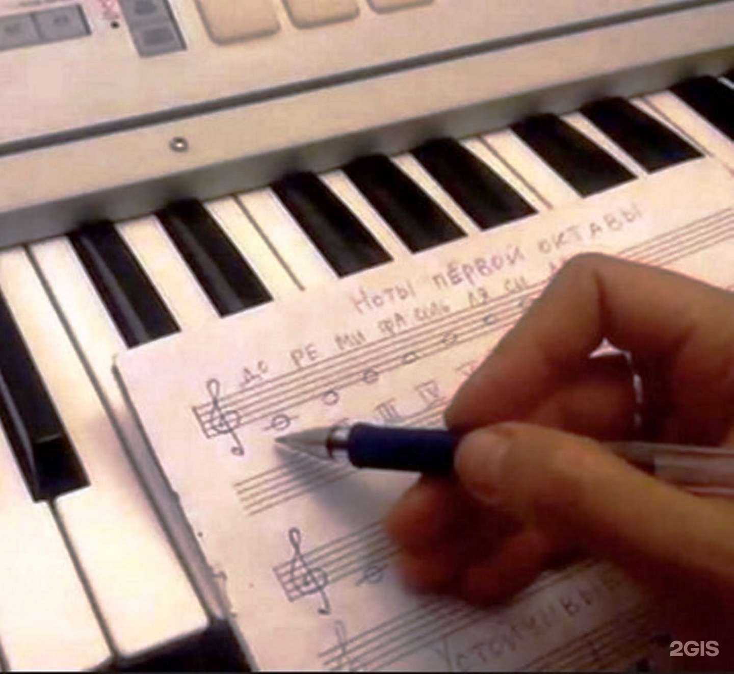 Отзывы на компанию Forte в г. Новокузнецк c фото