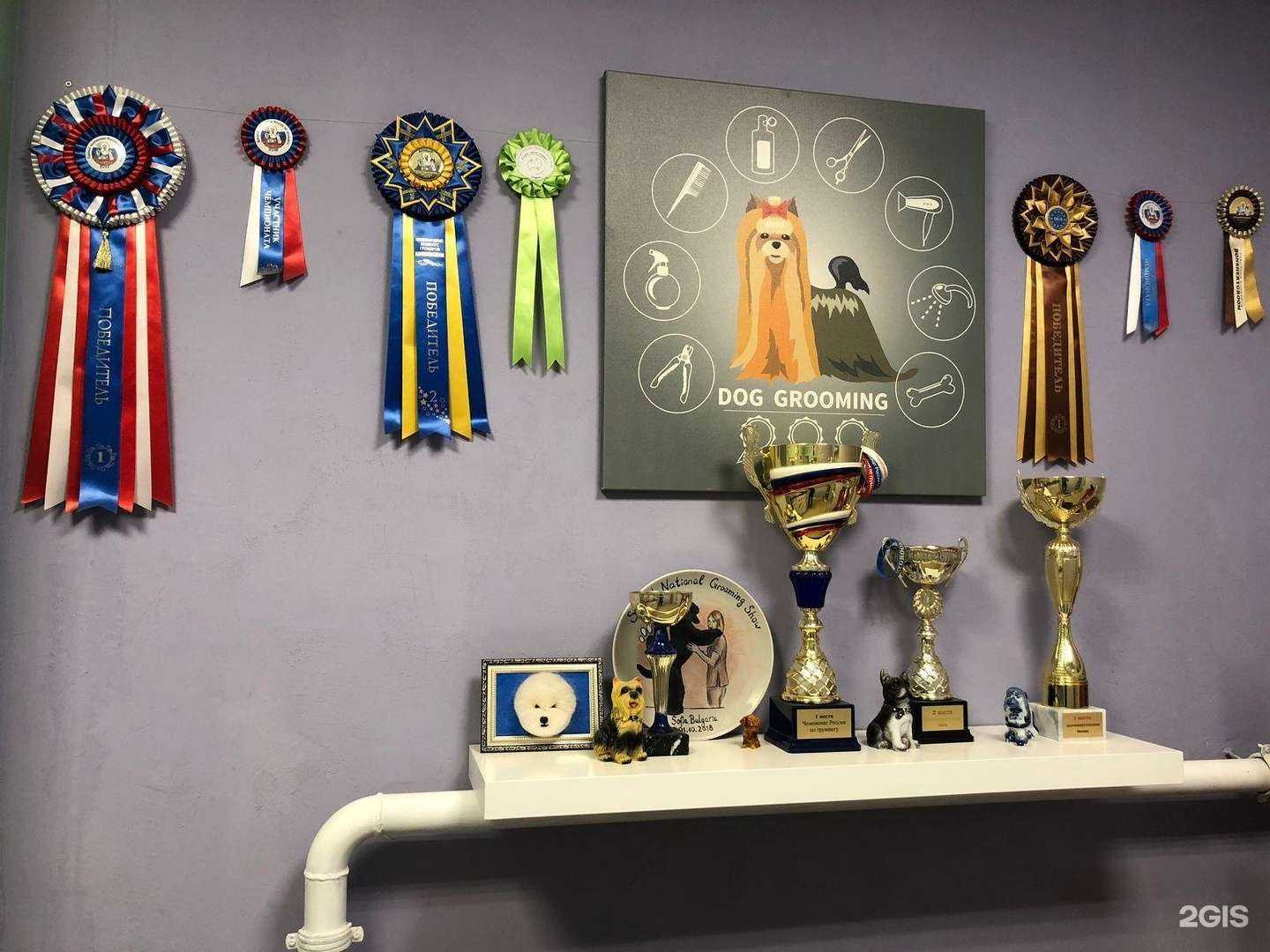 Отзывы на компанию Fortune grooming в Лобне c фото