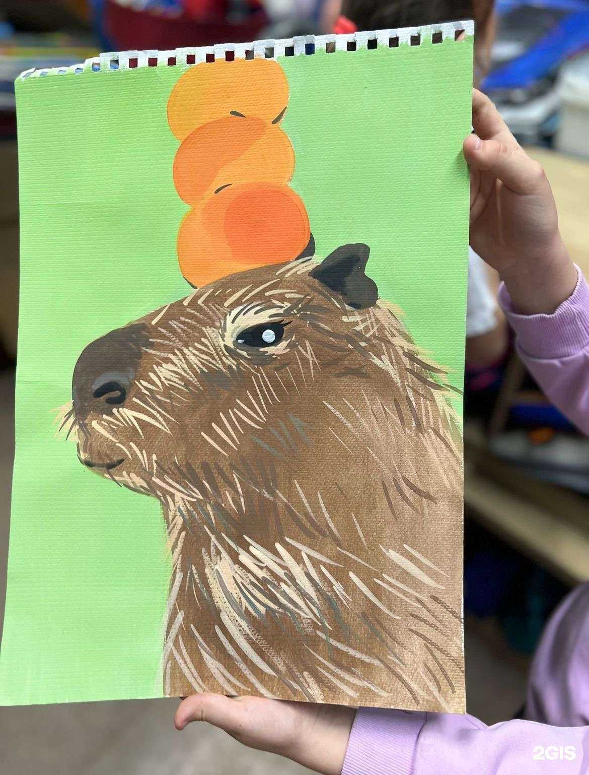 Отзывы на компанию 7 Гномов в г. Владивосток c фото