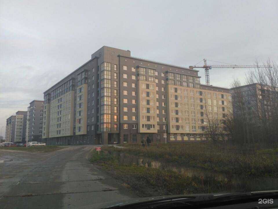 Отзывы на компанию Protelo в Калининграде c фото - фотография 2 из 2