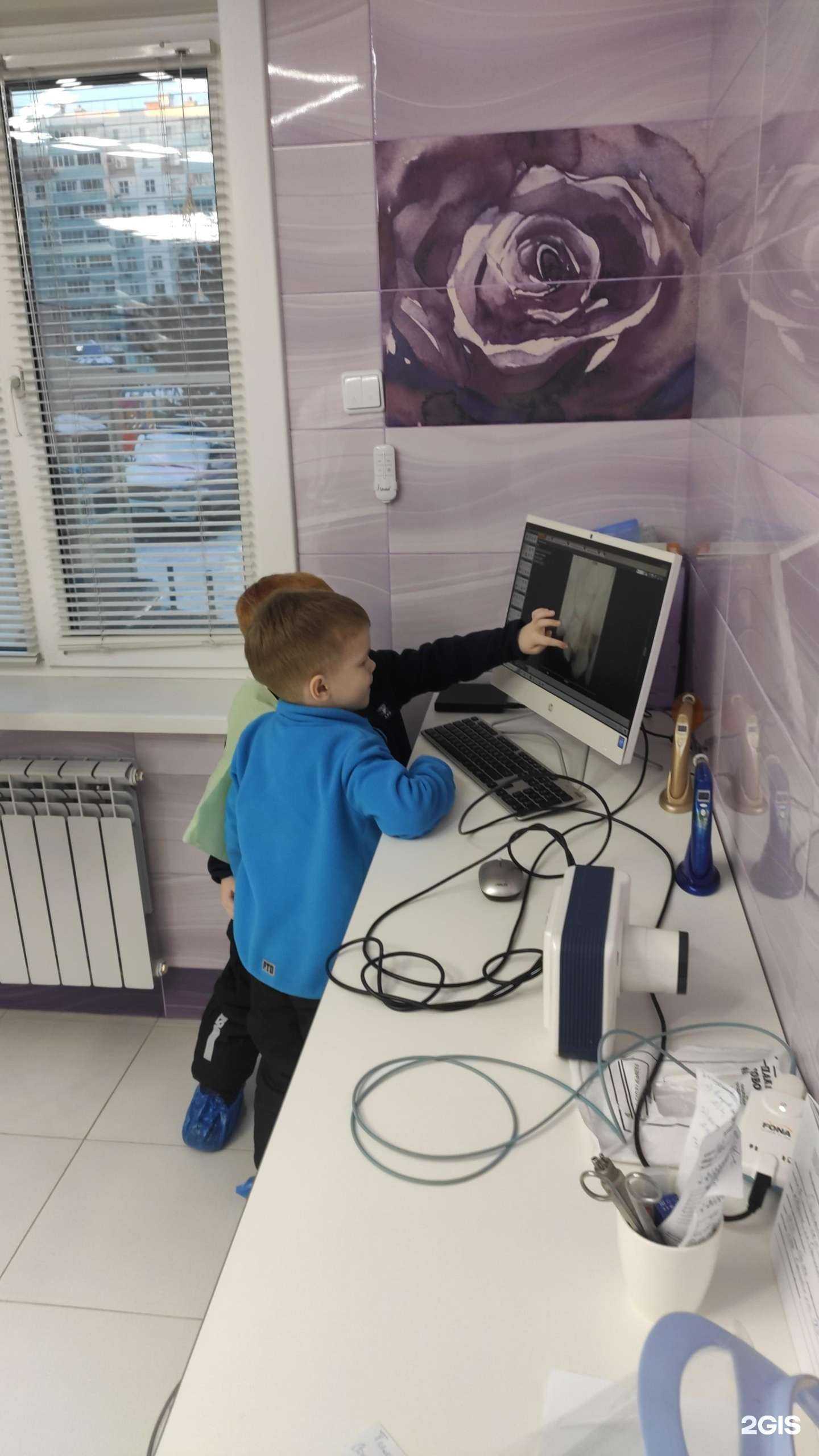 Отзывы на компанию Цефея в Хабаровске c фото