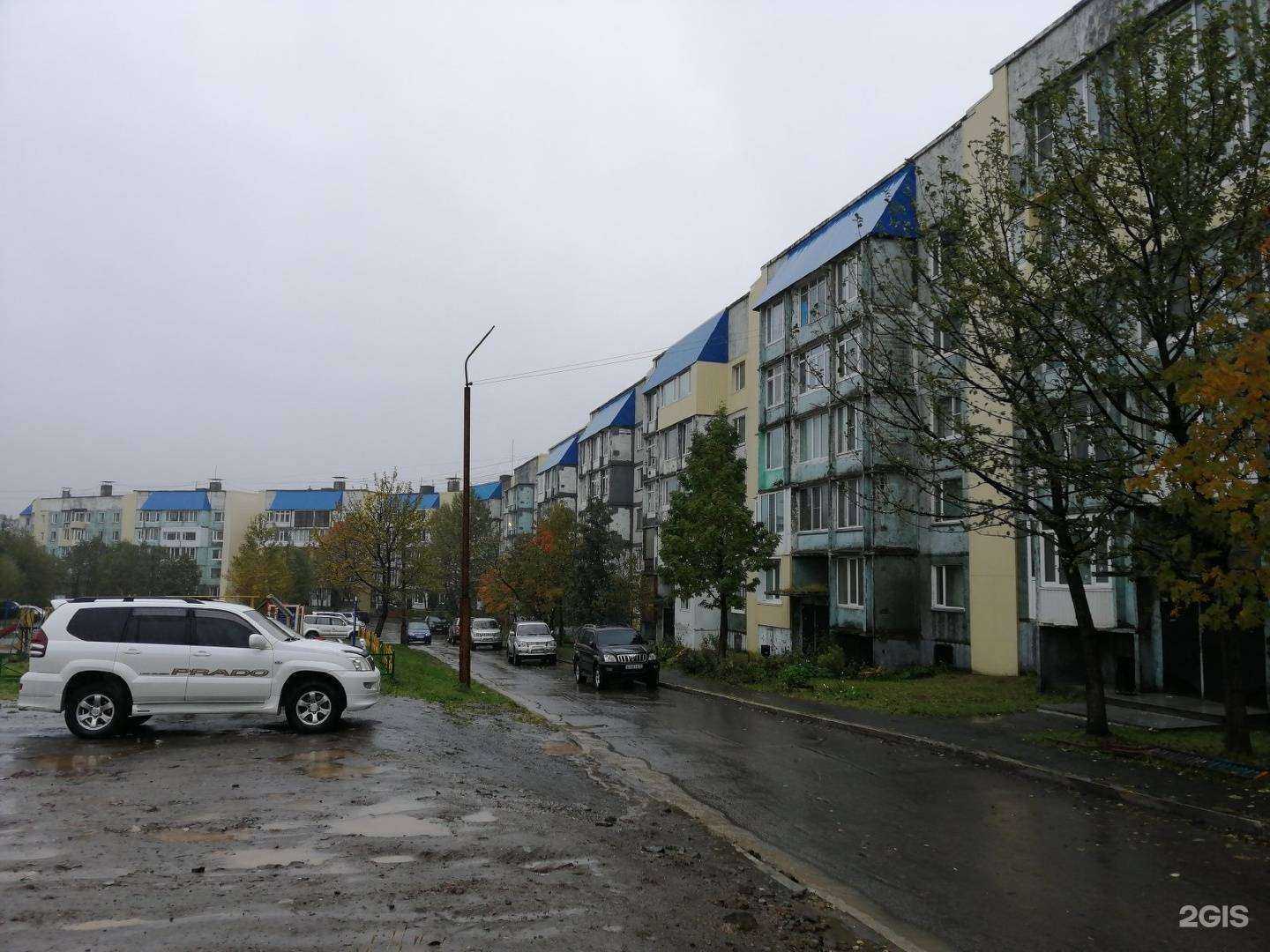 Отзывы на компанию Студенческое агентство в Петропавловске-Камчатском c фото