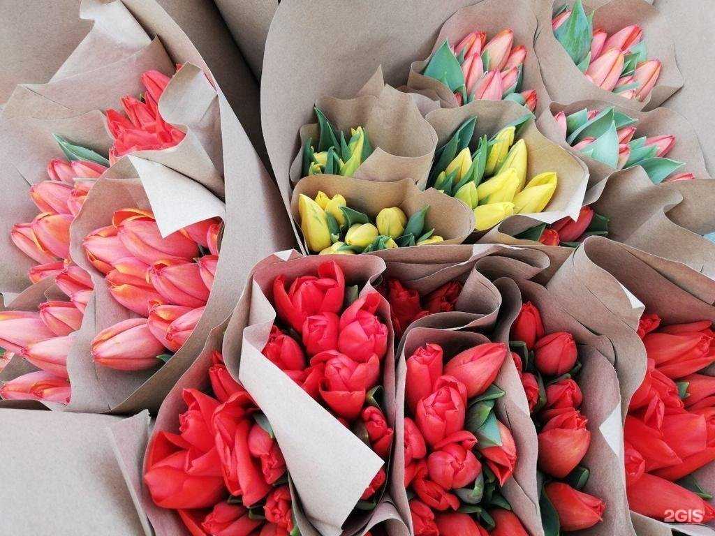 Отзывы на компанию Цветы Украины в г. Ноябрьск c фото