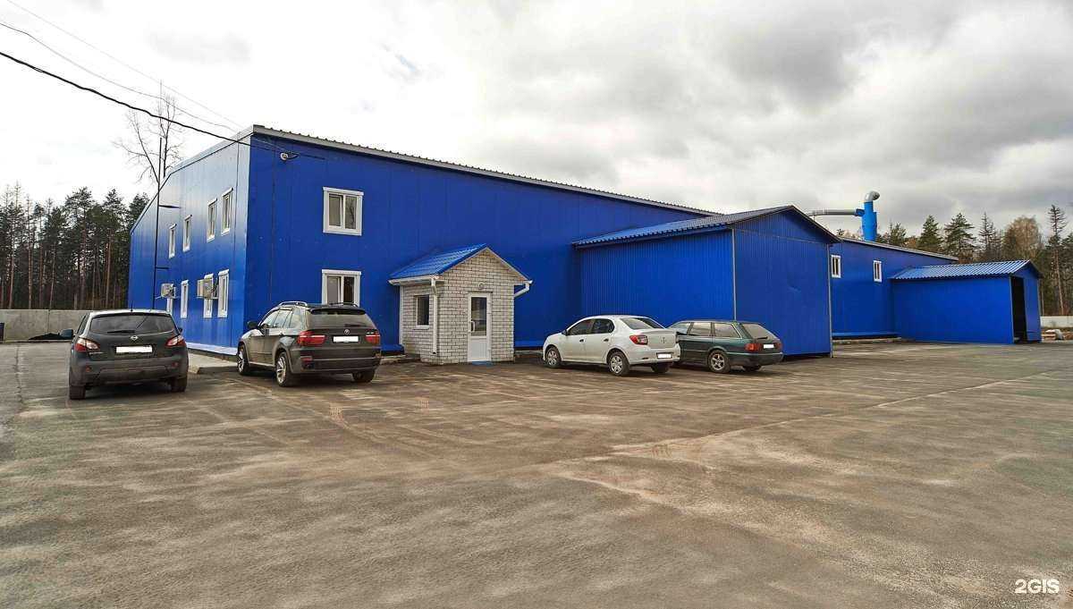 Отзывы на компанию Январь в г. Брянск c фото