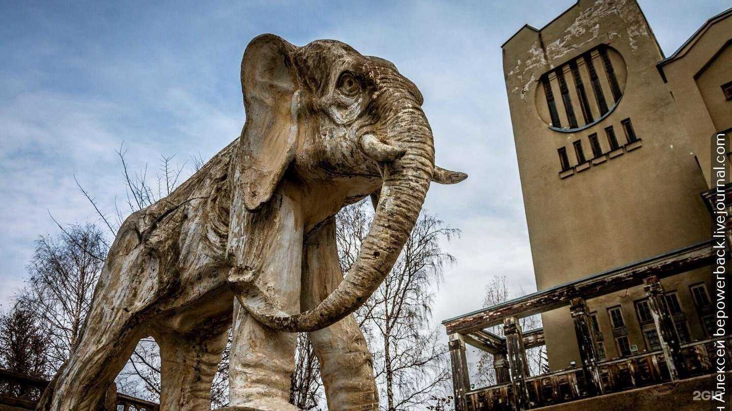 Отзывы на компанию Ан-Секьюрити в Новокузнецке c фото