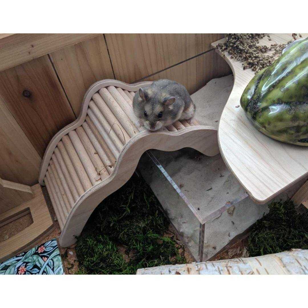 Отзывы на компанию ЛовиКота в Ростове-на-Дону c фото