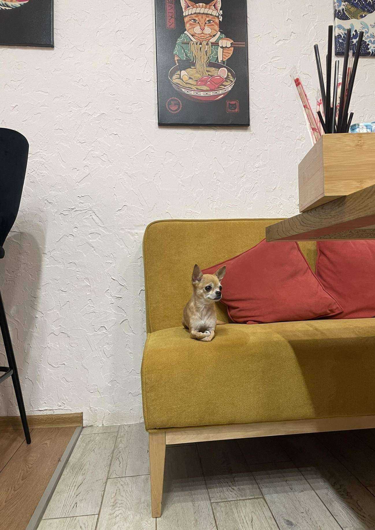 Отзывы на компанию Мука и Рис в Кирове c фото