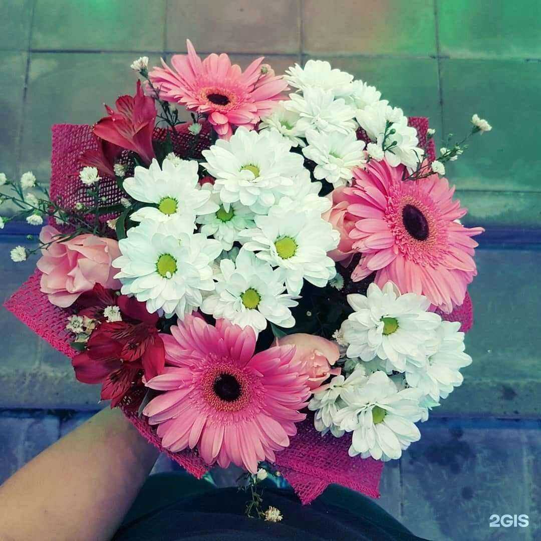 Отзывы на компанию Евробукет в Нижнем Новгороде c фото