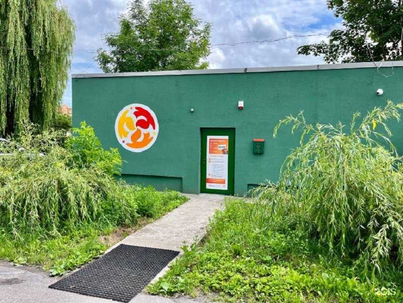 Отзывы на компанию Белки в Калининграде c фото - фотография 2 из 2