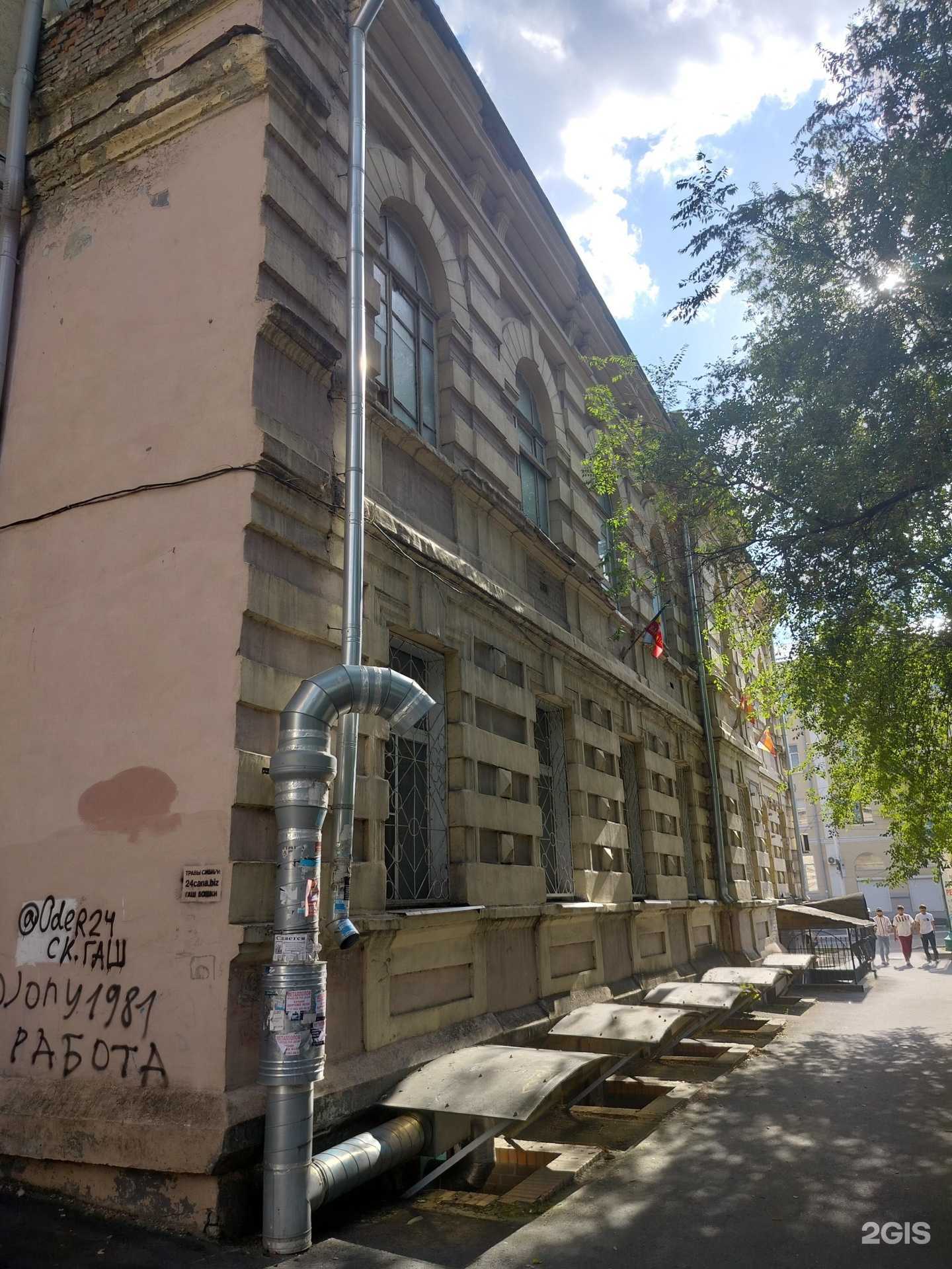 Отзывы на компанию Котопес в Новочеркасске c фото