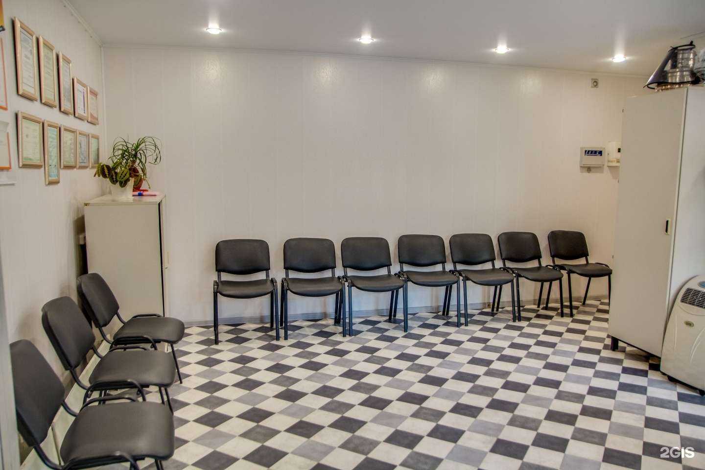 Отзывы на компанию Скорая ветеринарная помощь в г. Тольятти c фото