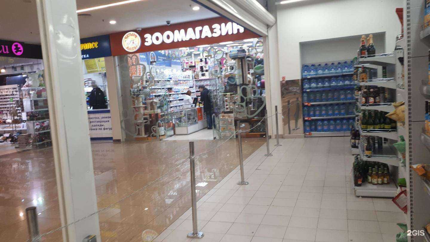 Отзывы на компанию Четыре лапы в Ярославле c фото