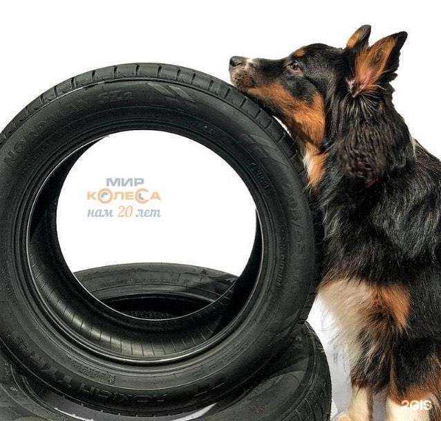 Отзывы на компанию Мир Колеса в Рязани c фото