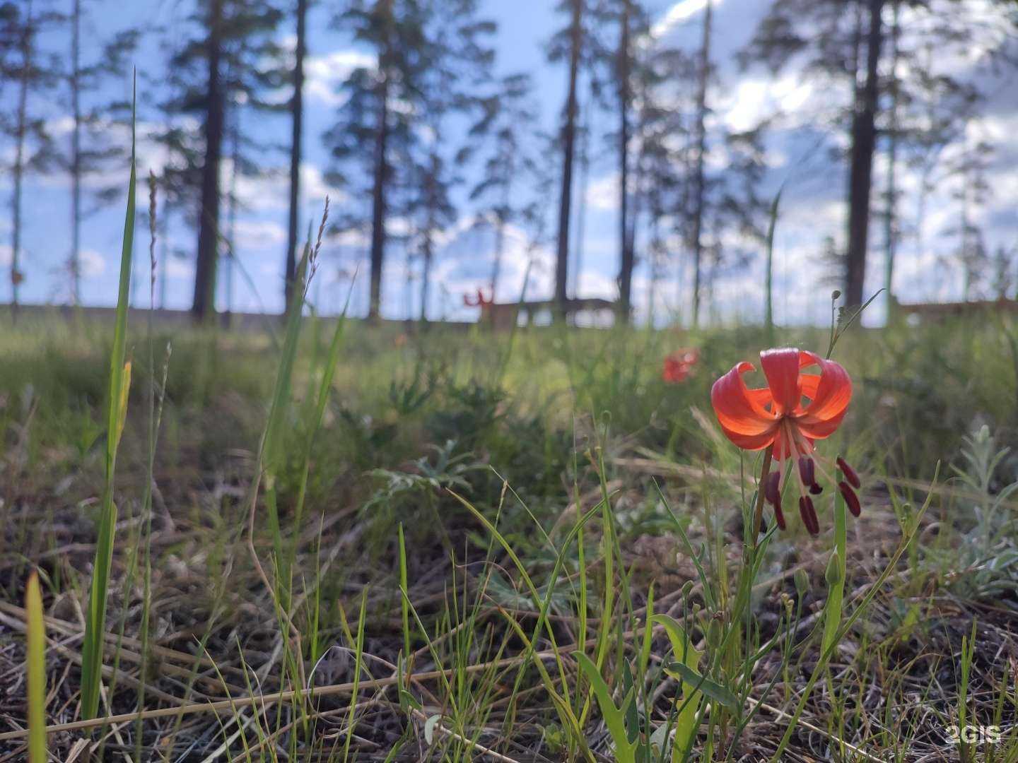 Отзывы на компанию Тракт в Улан-Удэ c фото - фотография 2 из 2