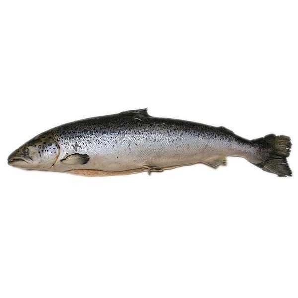 Отзывы на компанию Шеф-Арсенал в г. Красноярск c фото