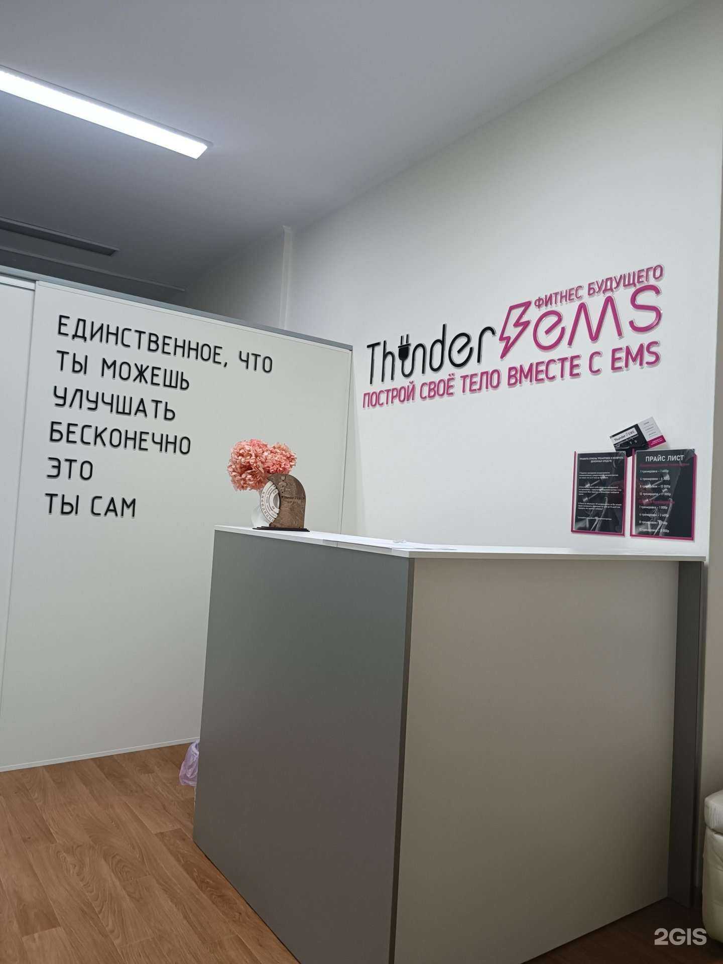 Отзывы на компанию ThunderEms в Владивостоке c фото