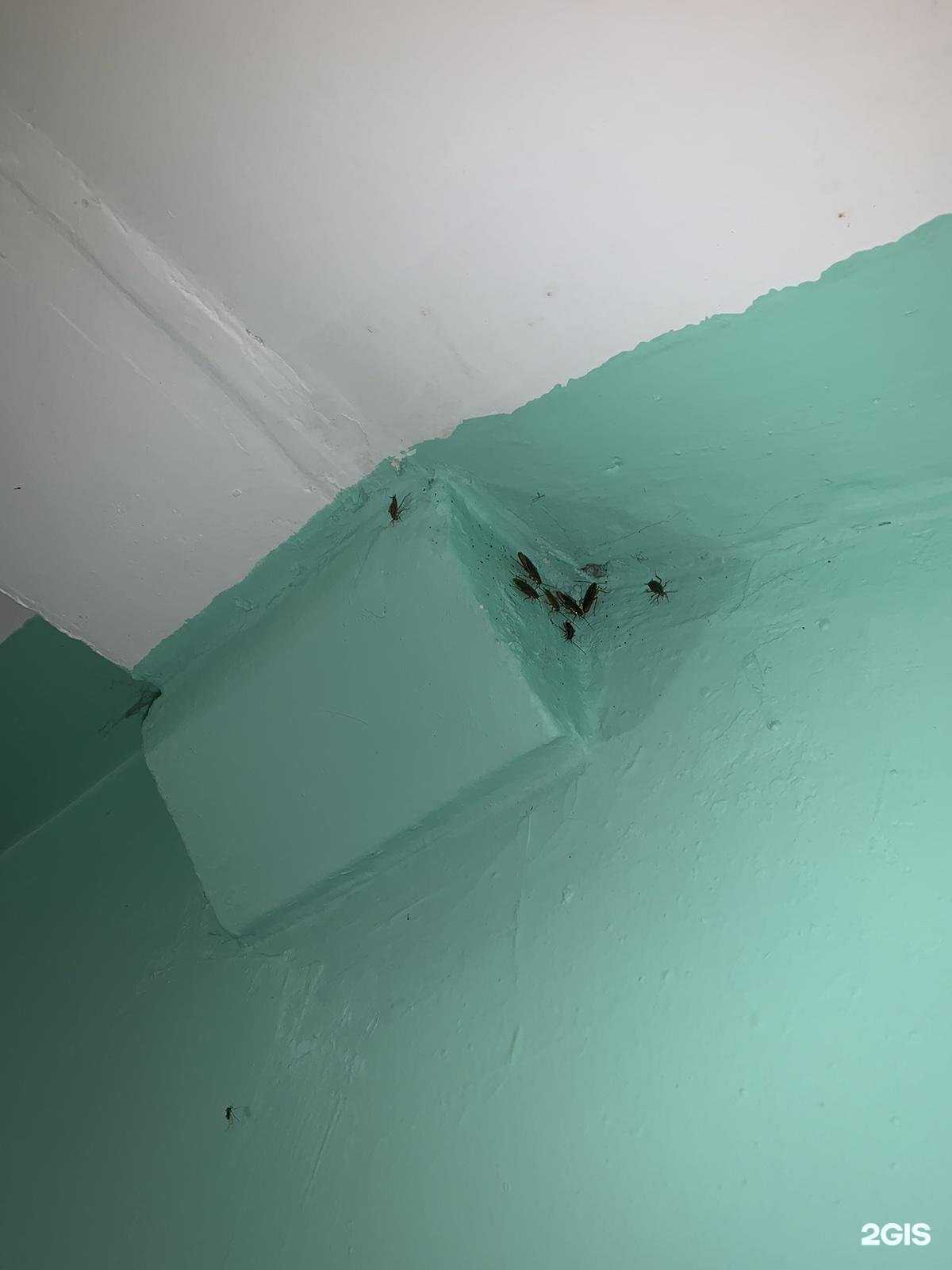 Отзывы на компанию Управляющая компания №1 ЖКХ в г. Тольятти c фото