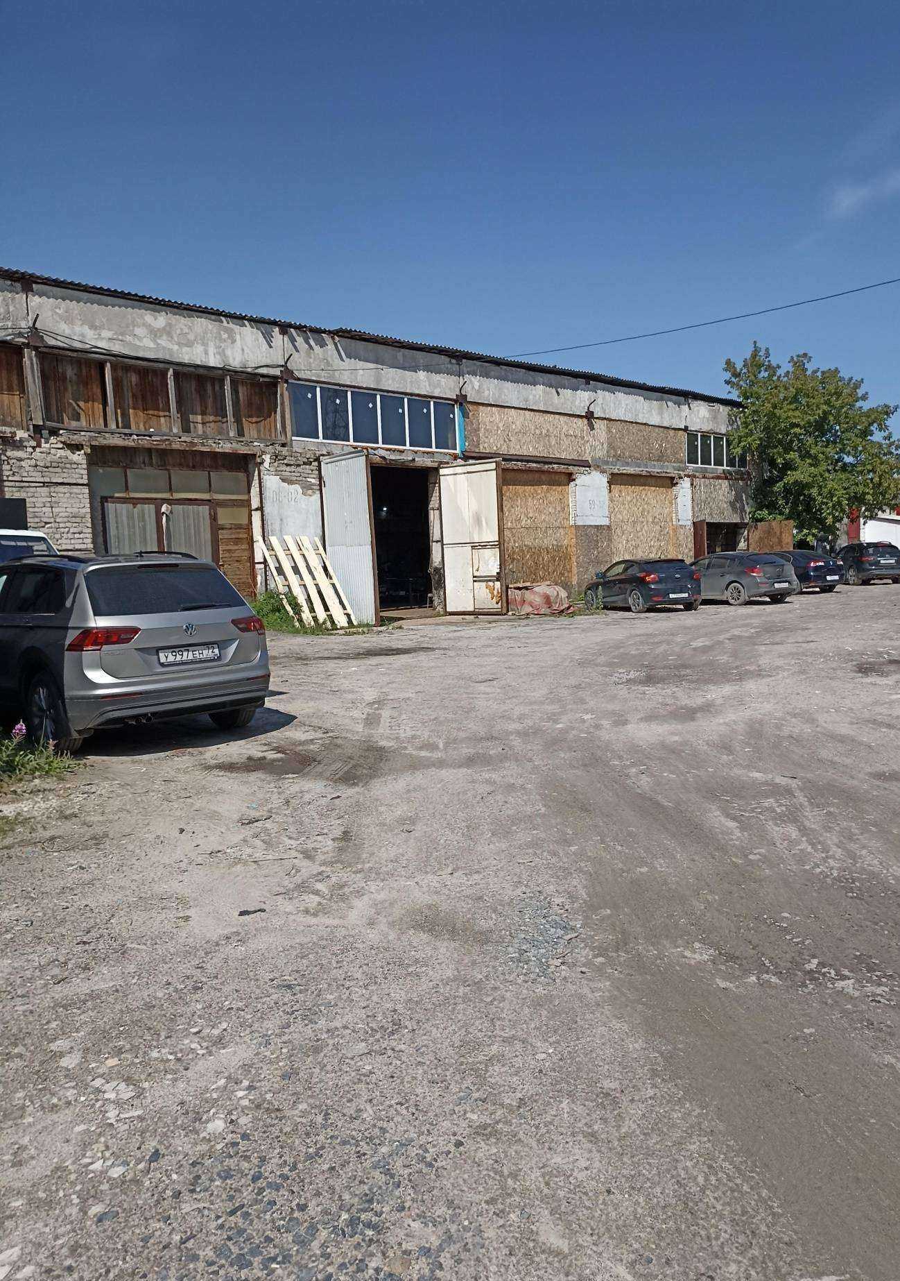 Отзывы на компанию Тюменский Хвойник в Тюмени c фото - фотография 2 из 2