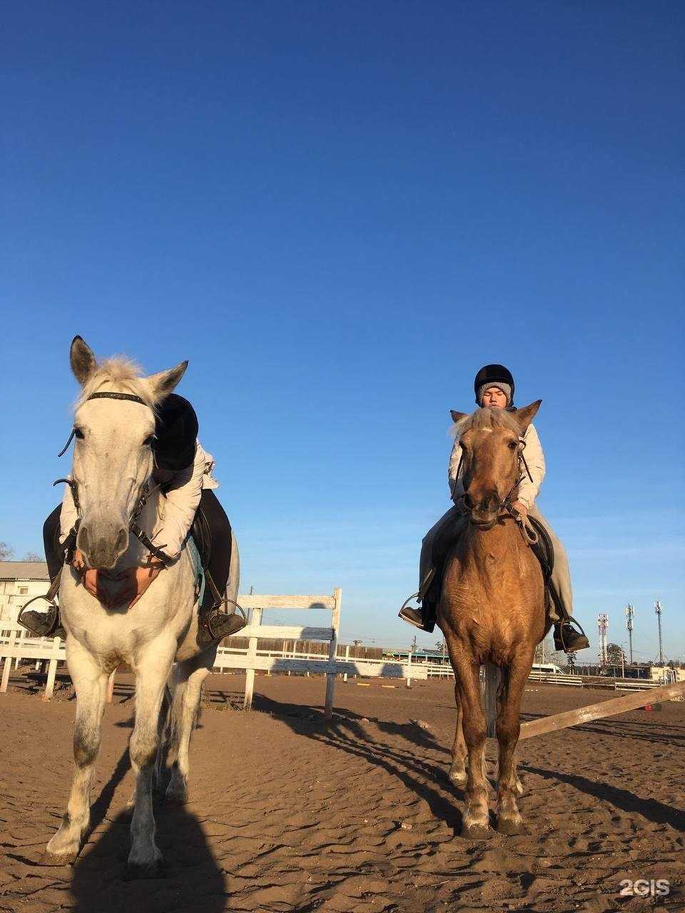 Отзывы на компанию Роксис в г. Улан-Удэ c фото