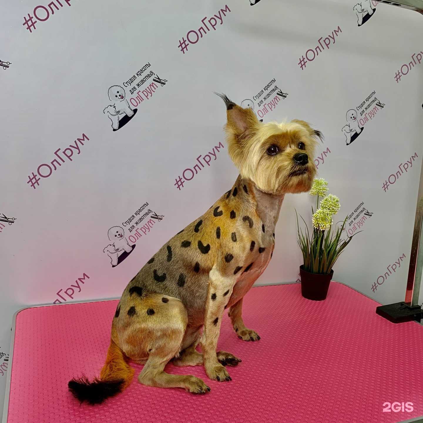 Отзывы на компанию ОлГрум в Наро-Фоминске c фото