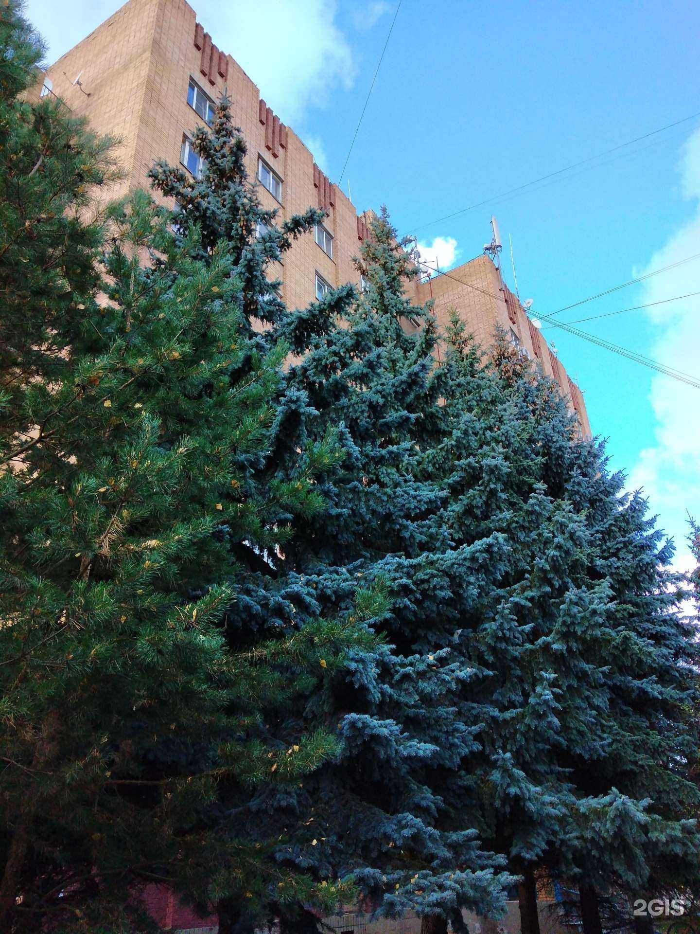 Отзывы на компанию Детская школа искусств №7 в Калуге c фото - фотография 2 из 2