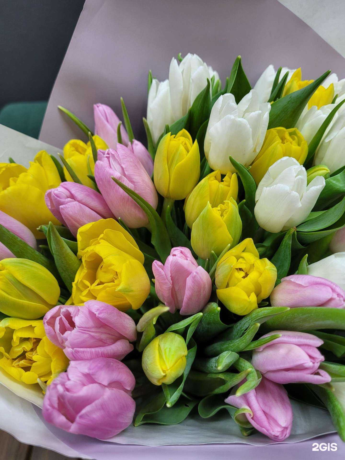 Отзывы на компанию Счастье здесь в г. Королёв c фото