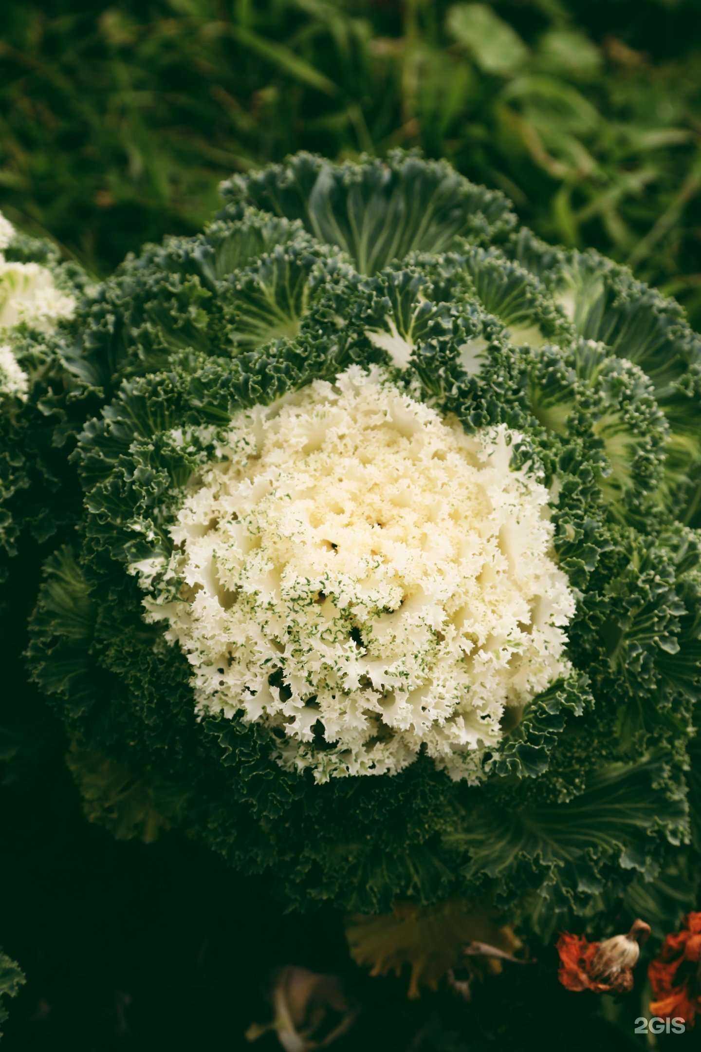 Отзывы на компанию Будет урожай в Уфе c фото