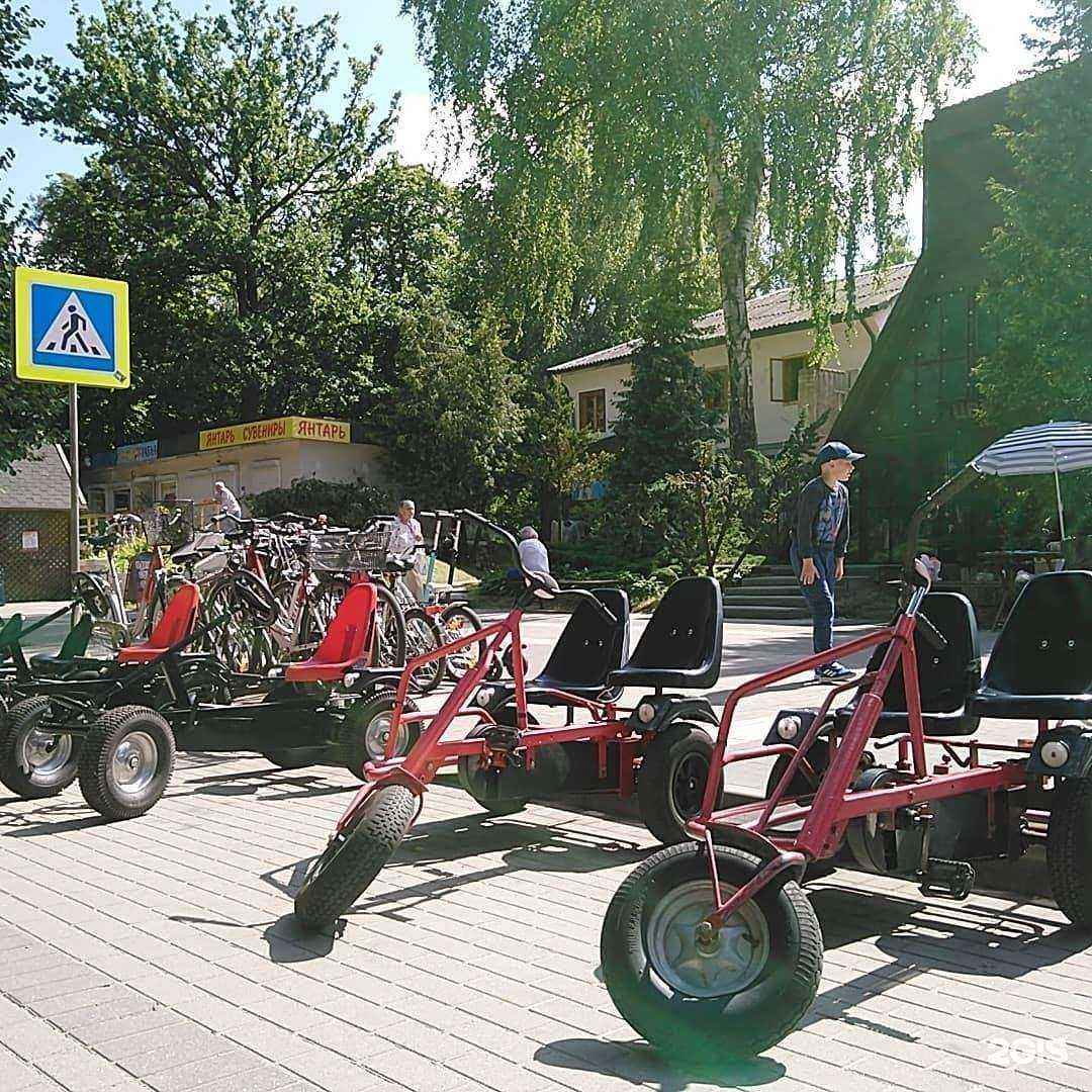 Отзывы на компанию Компания по прокату велосипедов в Светлогорске c фото